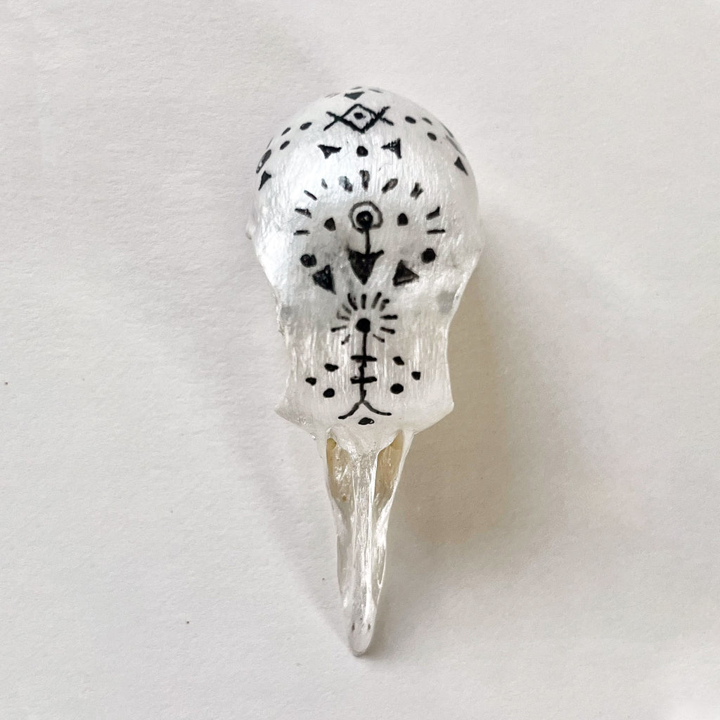 Dove skull