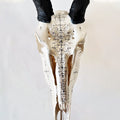 Eland Skull