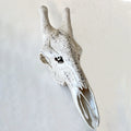 Giraffe Skull
