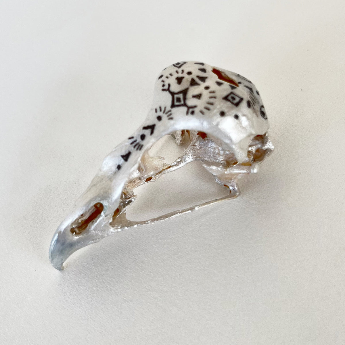 Falcon Skull