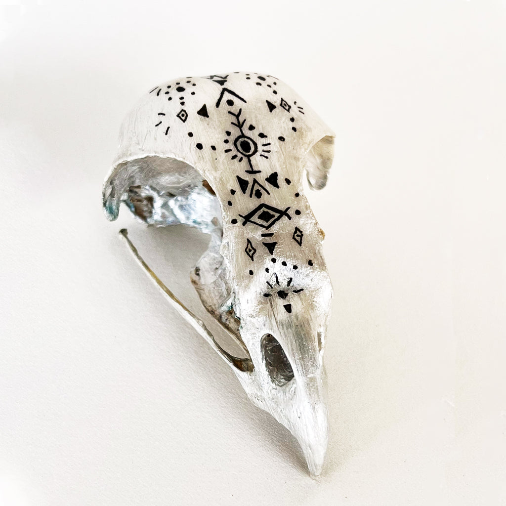 Owl Skull