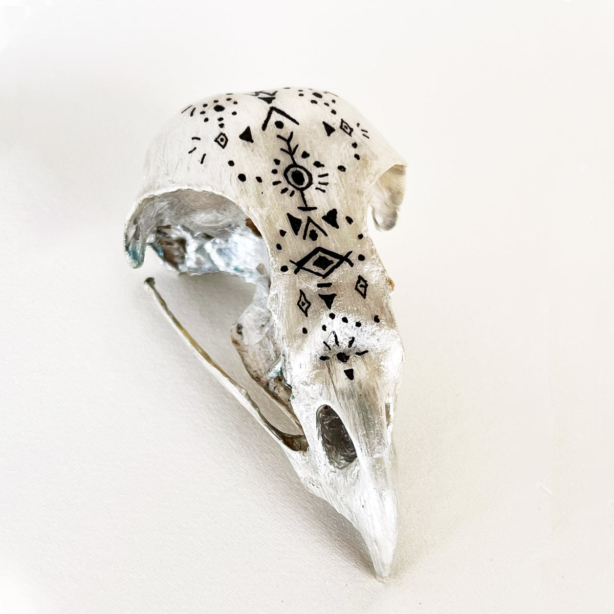 Owl Skull