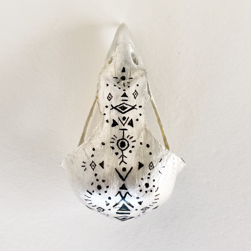 Owl Skull