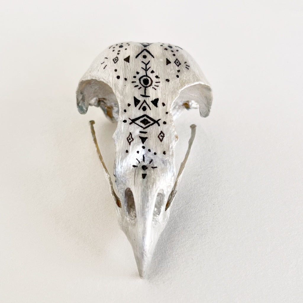 Owl Skull