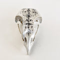 Owl Skull