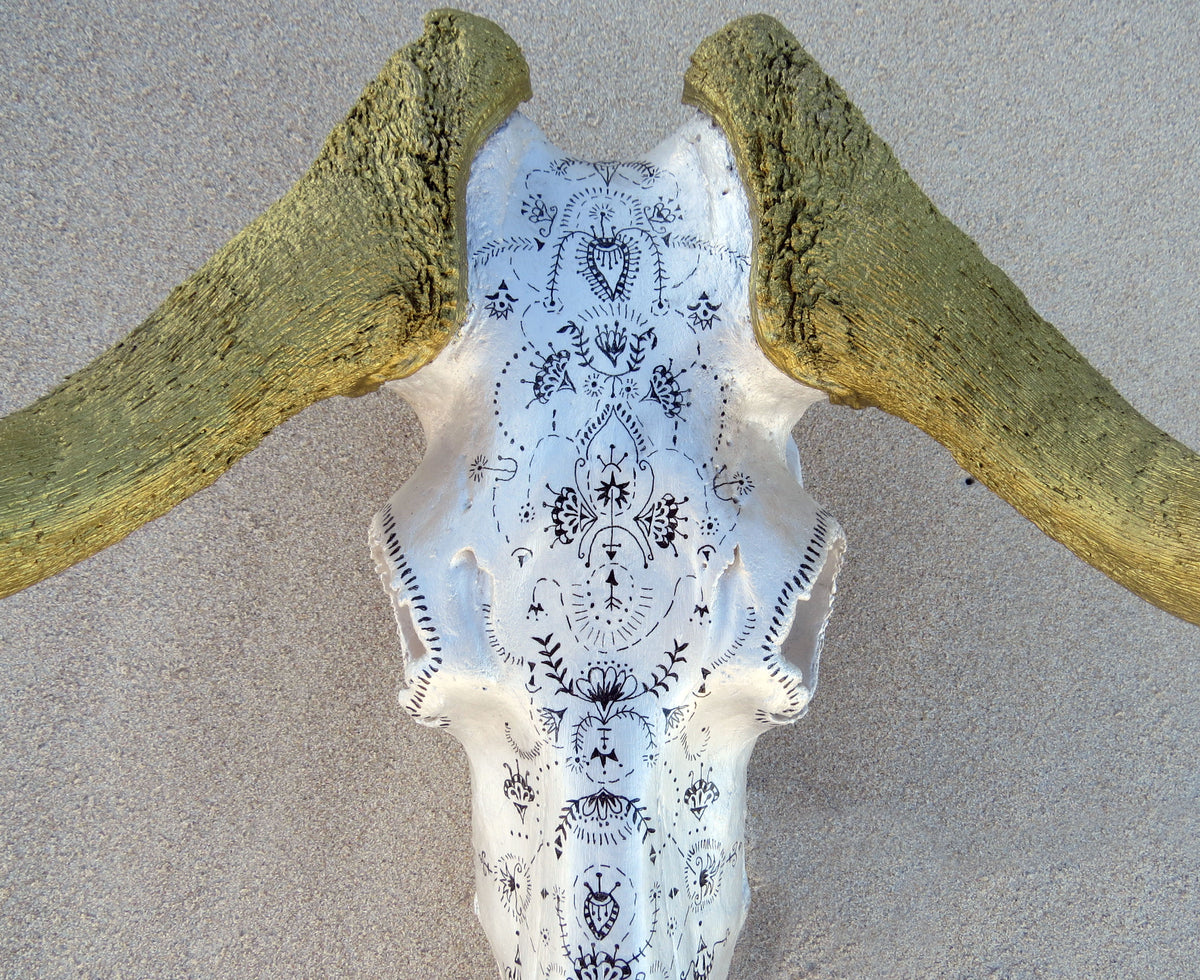 Black wildebeest Skull- Gold range
