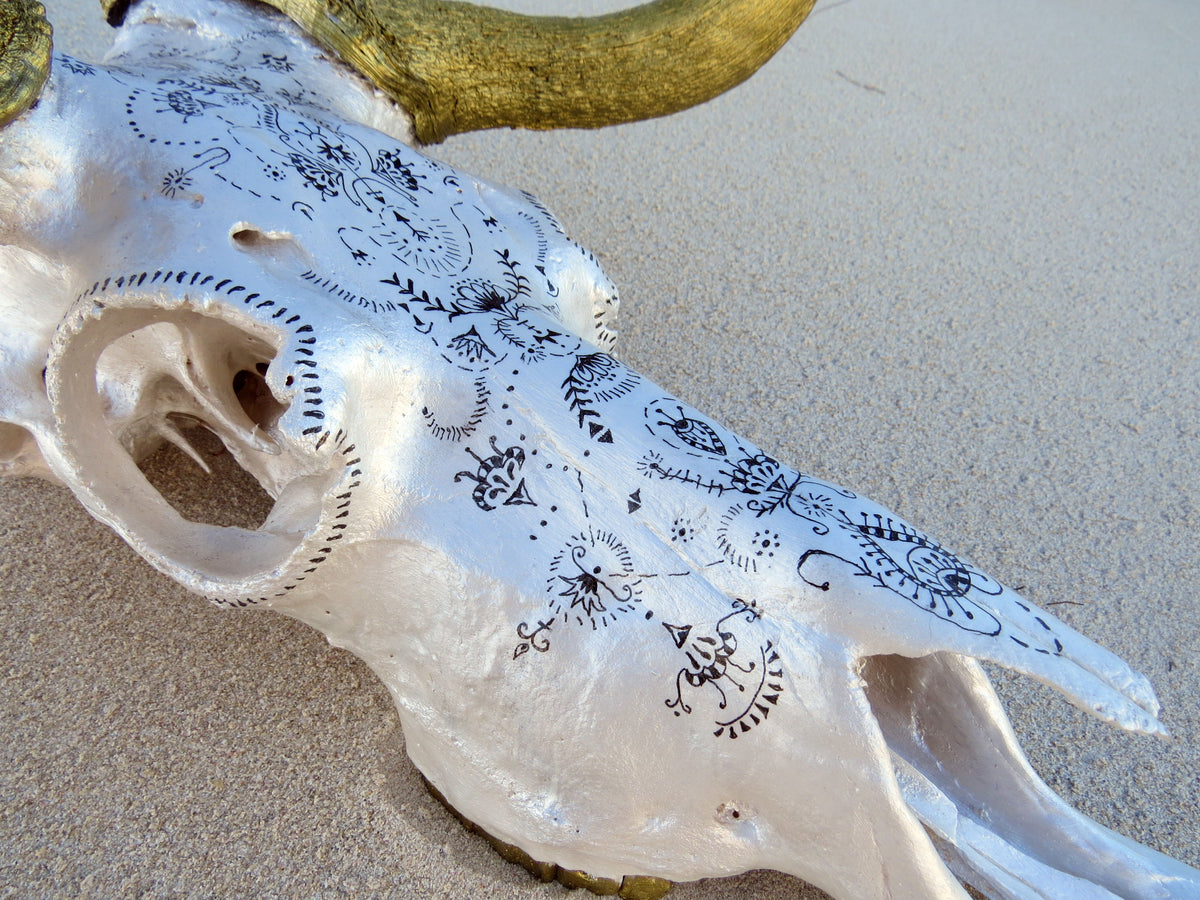 Black wildebeest Skull- Gold range
