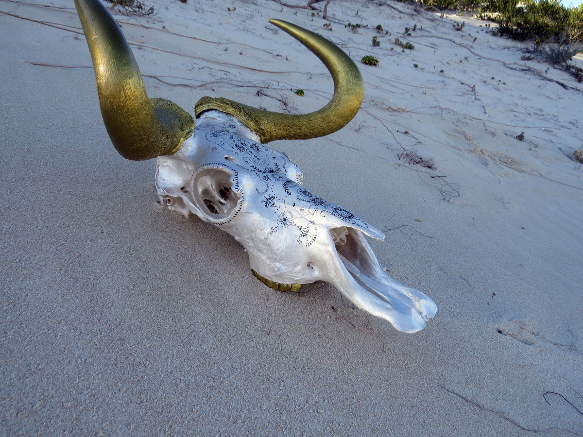 Black wildebeest Skull- Gold range